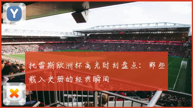 托雷斯欧洲杯高光时刻盘点：那些载入史册的经典瞬间