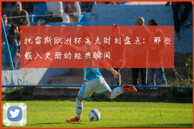 托雷斯欧洲杯高光时刻盘点：那些载入史册的经典瞬间