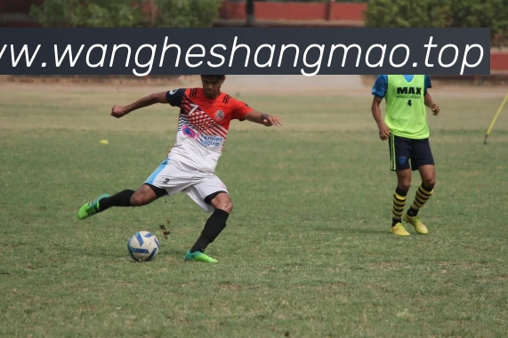 世界杯中国官网服务体系